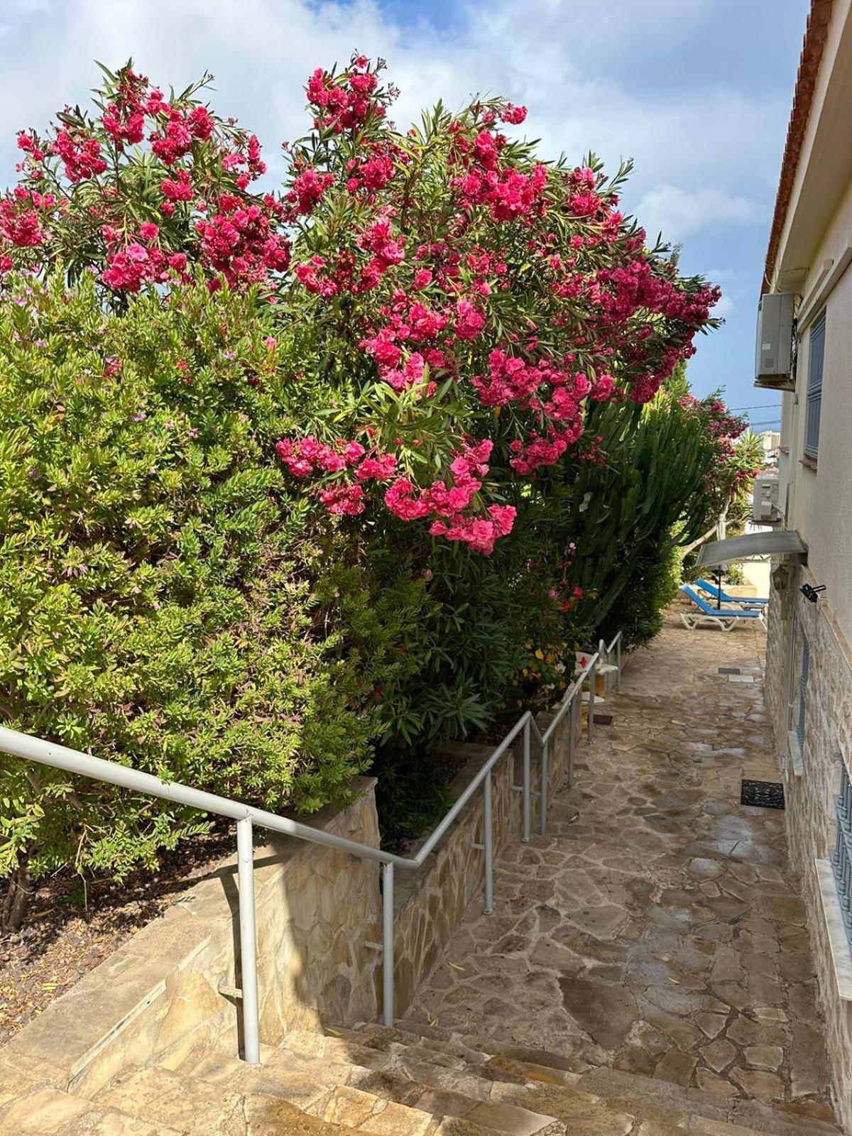 Apartamentos En La Villa Con El Territorio Comun En Calpe Exterior photo